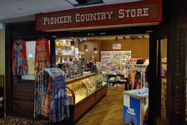 هتل The New Pioneer