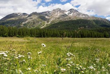 هتل Europa Suites St Moritz
