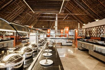 Allegro Playacar   All Inclusive Resort