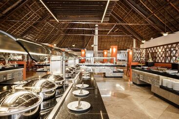 Allegro Playacar   All Inclusive Resort