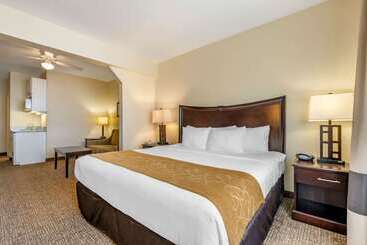 هتل Comfort Suites Maingate East