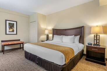 هتل Comfort Suites Maingate East