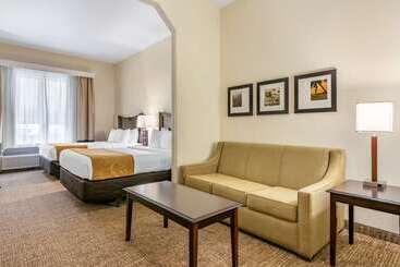 هتل Comfort Suites Maingate East
