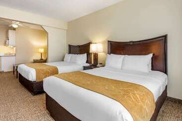 هتل Comfort Suites Maingate East