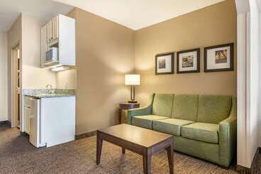 هتل Comfort Suites Maingate East