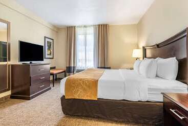 هتل Comfort Suites Maingate East