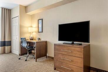 هتل Comfort Suites Maingate East
