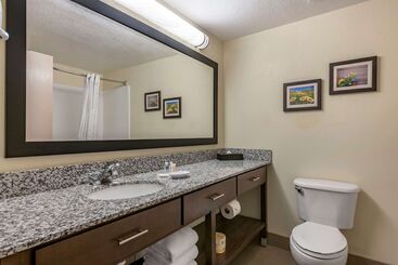 هتل Comfort Suites Maingate East