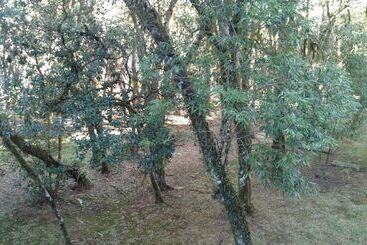 בית מלון כפרי Laje De Pedra Mountain Villageprime