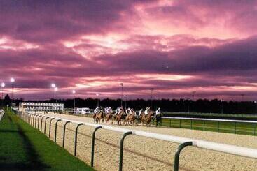 בית מלון כפרי Holiday Inn Wolverhampton   Racecourse, An Ihg