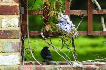 Langshott Manor   Luxury Hotel Gatwick