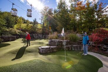 Blue Mountain Resort Village Suites