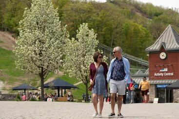 Blue Mountain Resort Village Suites