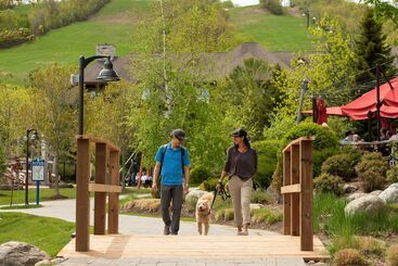 Blue Mountain Resort Village Suites