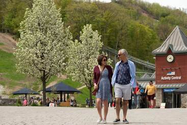 Blue Mountain Resort Village Suites