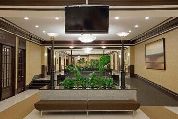 酒店 Armon Plaza Montreal Airpt, Trademark Collection By Wyndham
