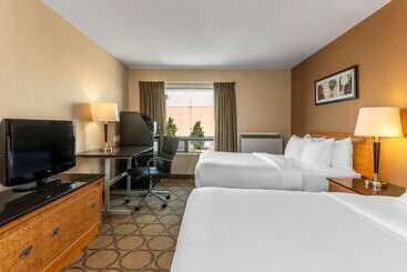 هتل Comfort Inn Airport East