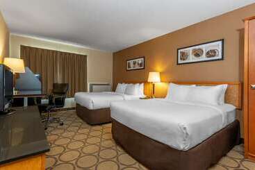 هتل Comfort Inn Airport East