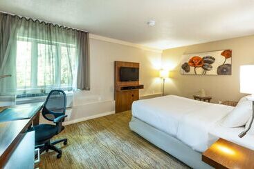 هتل Comfort Inn  Mont Laurier