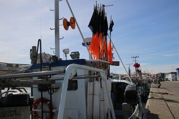 هتل Hirtshals