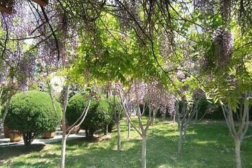 هتل Dalian Nanshan Garden