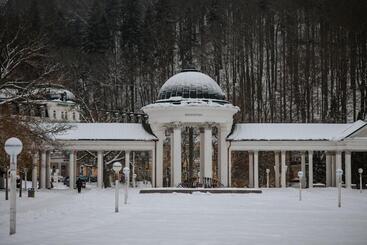 Orea Spa Hotel Cristal