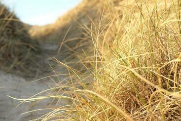 هتل Strandlyst Bade