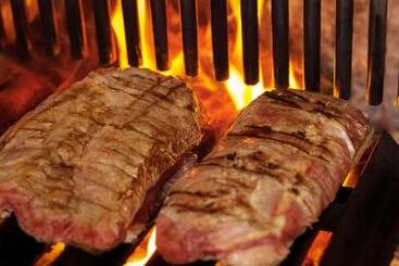Logis Hotel Lons Le Saunier   Restaurant Le Grill - Lons le Saunier