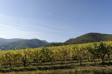 هتل Le Clos Saint Vincent