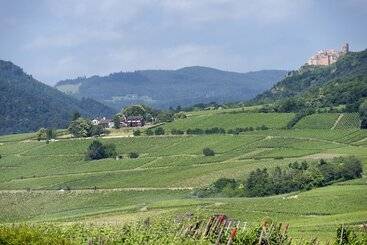 هتل Le Clos Saint Vincent