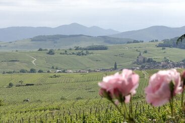 هتل Le Clos Saint Vincent