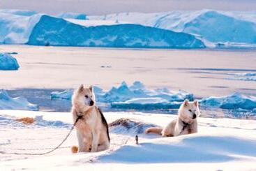 هتل Arctic