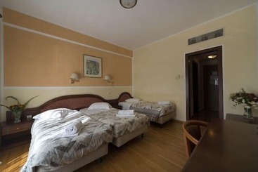 فندق Delphi Palace