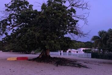 استراحتگاه Allamanda Beach