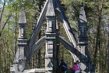 هتل Downhill Inn
