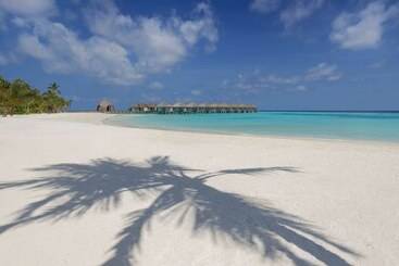 هتل Outrigger Maldives Maafushivaru Resort
