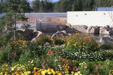 هتل Chena Hot Springs Resort