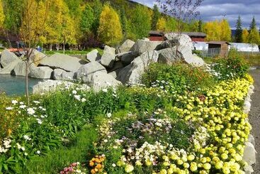 هتل Chena Hot Springs Resort