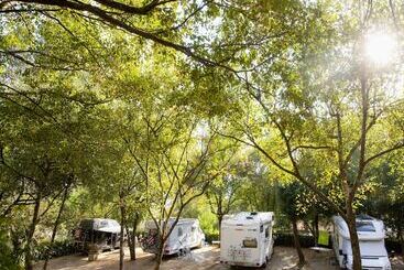 Camping As Cancelas