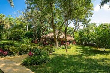 Beaches Negril Resort   All Inclusive