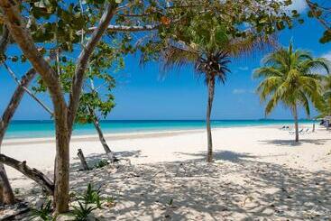 Beaches Negril Resort   All Inclusive