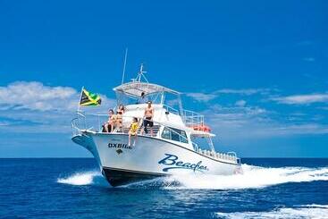 Beaches Negril Resort   All Inclusive