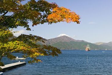 هتل Hakone