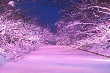هتل Hirosaki Park