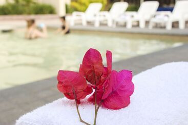 هتل Comfort Inn Queretaro
