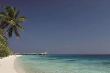 استراحتگاه Coco Bodu Hithi