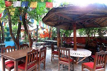 هتل Pilgrims Guest House