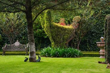 Quinta Del Rey - Toluca