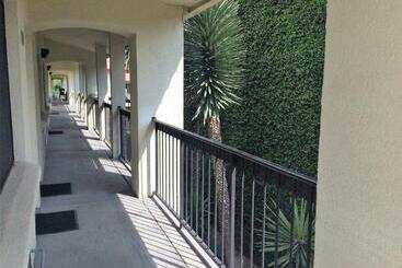 Quinta Dorada Hotel & Suites