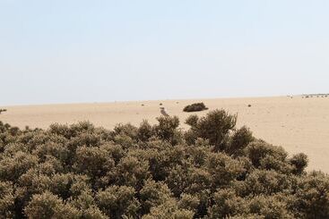 Swakopmund Hotel & Entertainment Centre